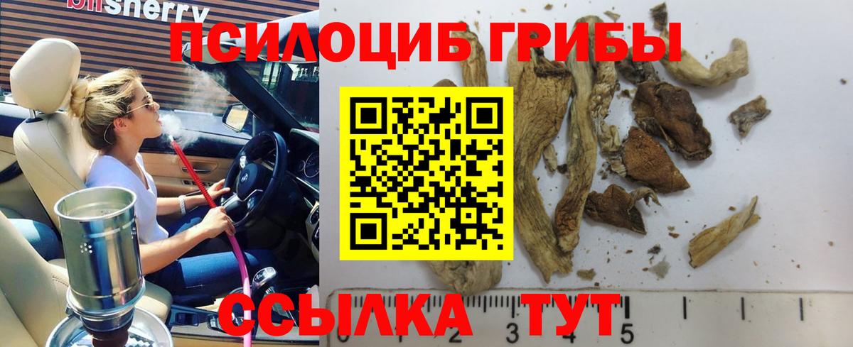 Галлюциногенные грибы Psilocybine cubensis  Вход с VPN  закладки  Галлюциногенные грибы мухоморы  Майкоп 
